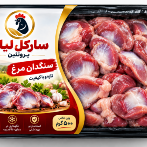 سنگدان مرغ
